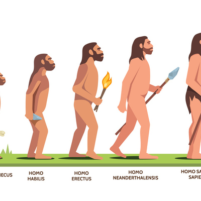 Timeline: L'EVOLUCIÓ HUMANA