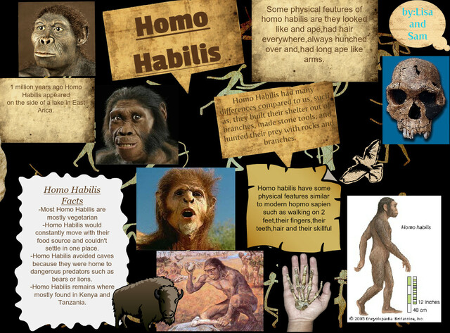 HOMO HABILIS (home hàbil)