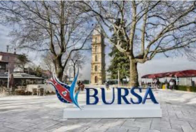 Capital of Pursa (BURSA)