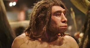 Homo neanderthalensis