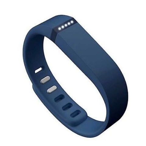 The FitBit is Released (James Park)