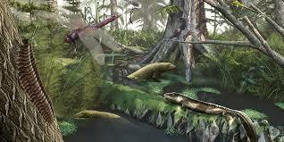 CARBONIFERO