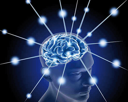 Cómo será el cerebro humano en 5000 años