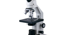 Timeline: Cientistas da Área da Microbiologia