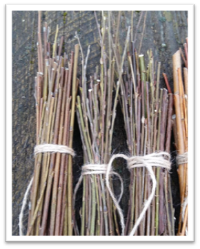 The first kind of 'toothbrush'