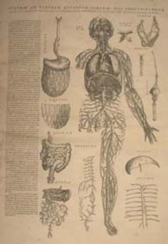 "De Humani Corporis Fabrica Epitome" is published.
