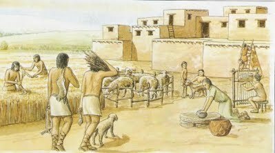 Début de la domestication des animaux