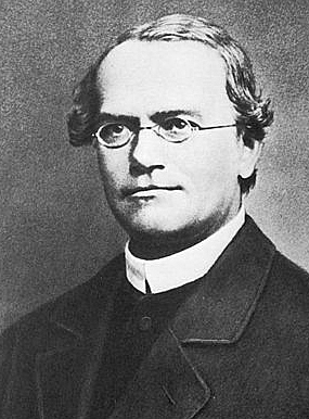Gregor Mendel