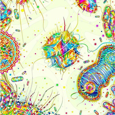 Timeline: Desarrollo histórico de la Microbiología