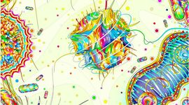 Timeline: Desarrollo histórico de la Microbiología