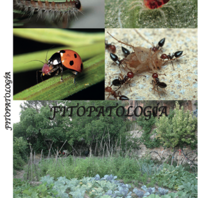 Timeline: HISTORIA DE LA FITOPATOLOGIA