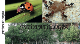 Timeline: HISTORIA DE LA FITOPATOLOGIA