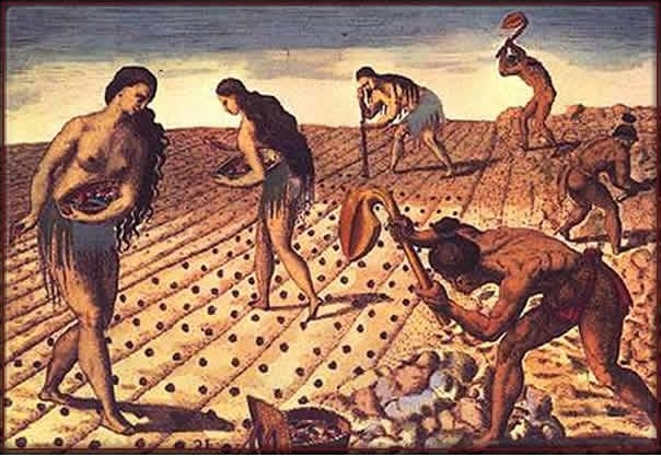 Premières trace de sédentarisation et d'agriculture