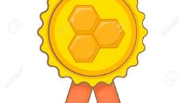 Timeline: Historia y evolución de calidad