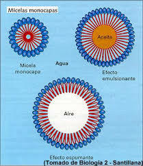 Cultivos de materiales coloidales monodispersos