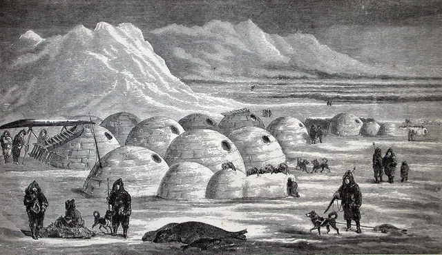 The Inuit settled