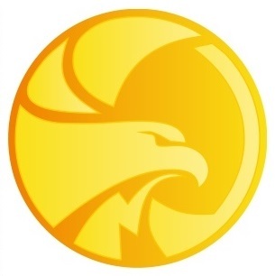 Анонс о создании ССА