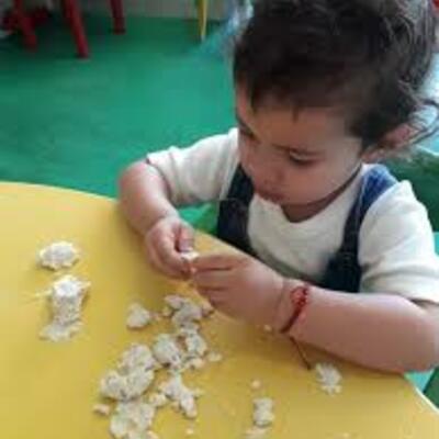 Timeline: historia del curriculum