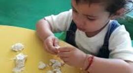 Timeline: historia del curriculum