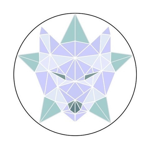 Основание проекта Северный Лед