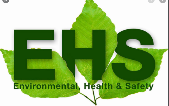 Primera estrategia oficial del NNI