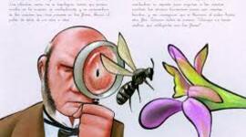 Timeline: Historia de la fitopatología