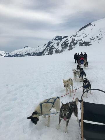 Alaska Trip