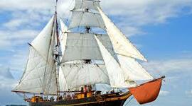 Timeline: FROM THE FIRST FLEET TO THE 21ST CENTURY