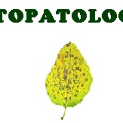 Timeline: Historia de los conceptos de causa y enfermedad: paralelismo entre la Medicina y la Fitopatología.  Leidi ortiz Moreno