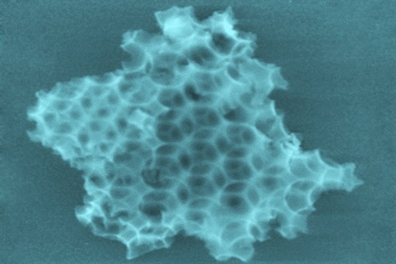 Descubrimiento de materiales catalíticos