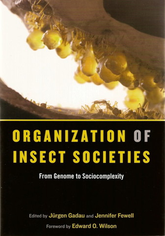 The Insect Societies