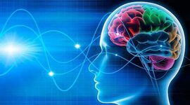 Timeline: El cerebro: Desde su origen hasta lo que podría llegar a ser