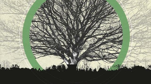 Assumed Director of Egenis at Exeter