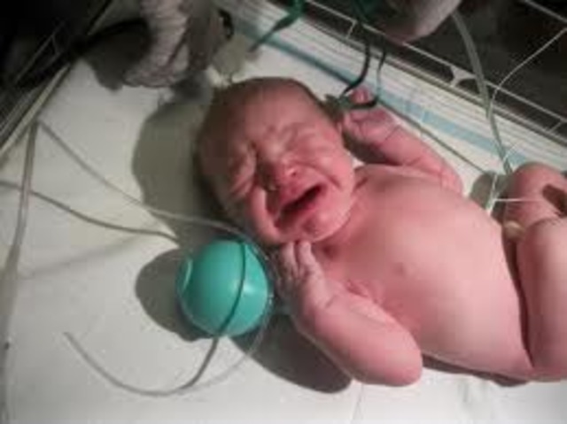 Braden Wheeler born
