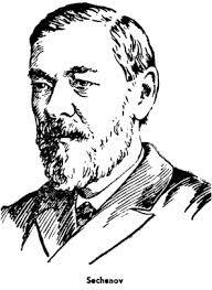 Iván Séchenov publicó "Los Reflejos del Cerebro"