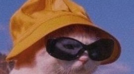 Timeline: The Catholic Church in Australia