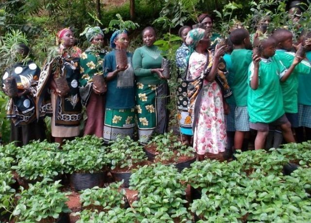 Movimiento cinturón verde
