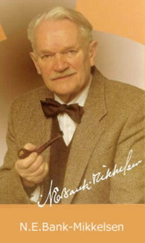 Principio de normalización