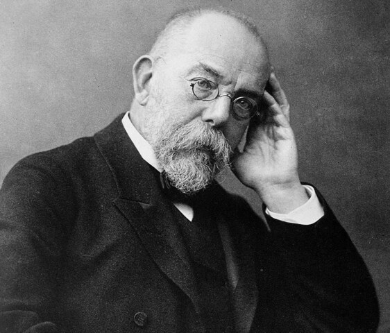 Roberto Koch