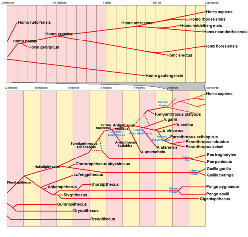 apróx. 5 millones a.C