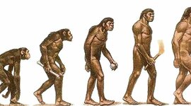 Timeline: Evolución del sistema nervioso