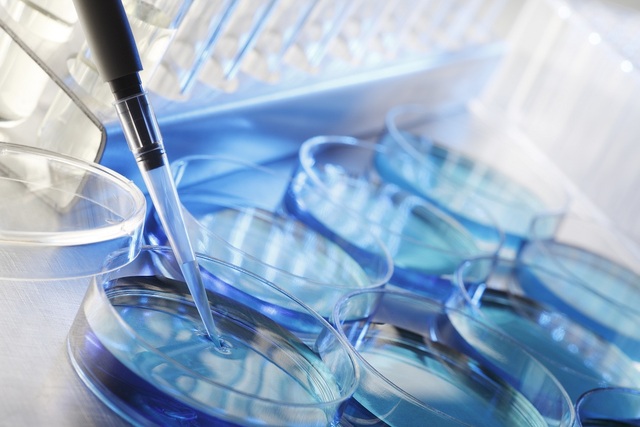 Toxicología contemporánea