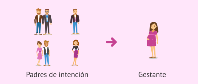 Gestación subrogada