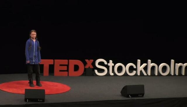 Talk at TEDx Stockholm