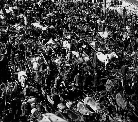 Imposizione collettivizzazione delle terre