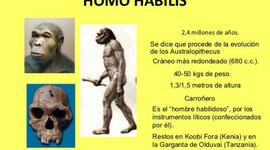 Timeline: evopliujklsañfhio