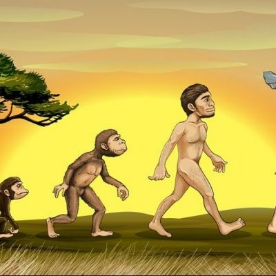Timeline: La evolucion humana