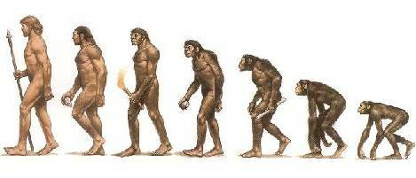 El surgimiento de los homínidos y de las características únicas de su cerebro.