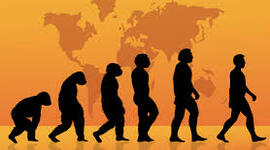 Timeline: Evolución humana