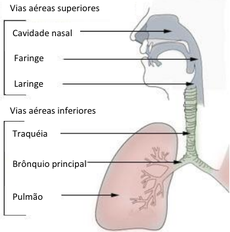Infecciones por hacinamiento